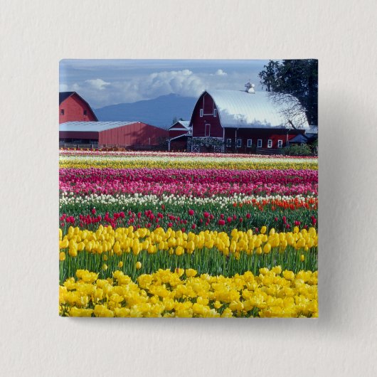 Tulip-Display-Feld Button (Vorderseite)