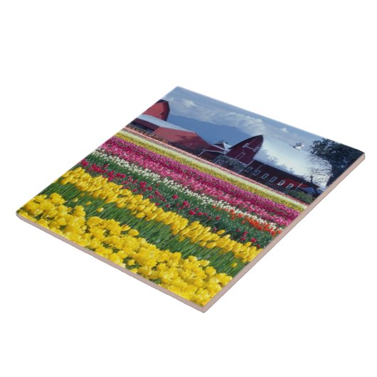 Tulip-Display-Feld Fliese (Seite)