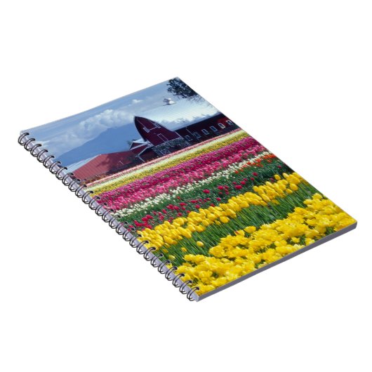 Tulip-Display-Feld Notizblock (Rechte Seite)