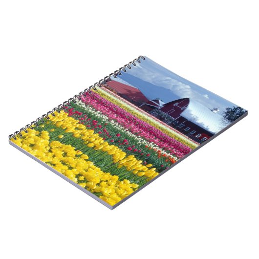 Tulip-Display-Feld Notizblock (Linke Seite)