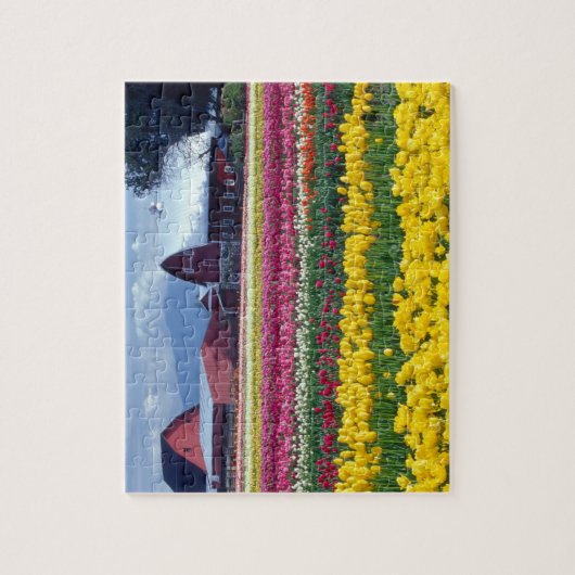 Tulip-Display-Feld Puzzle (Vertikal)