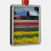 Tulip-Display-Feld Silbernes Ornament (Rechts)