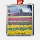Tulip-Display-Feld Silbernes Ornament (Links)