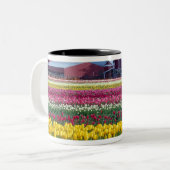 Tulip-Display-Feld Zweifarbige Tasse (Vorderseite Links)