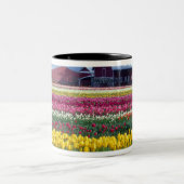 Tulip-Display-Feld Zweifarbige Tasse (Mittel)