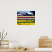 Tulip display field poster (Küche)