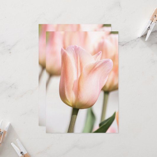 TULIP EINLADUNG (Vorderseite/Rückseite Beispiel)