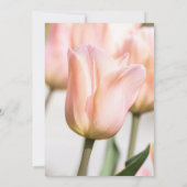 TULIP EINLADUNG (Rückseite)