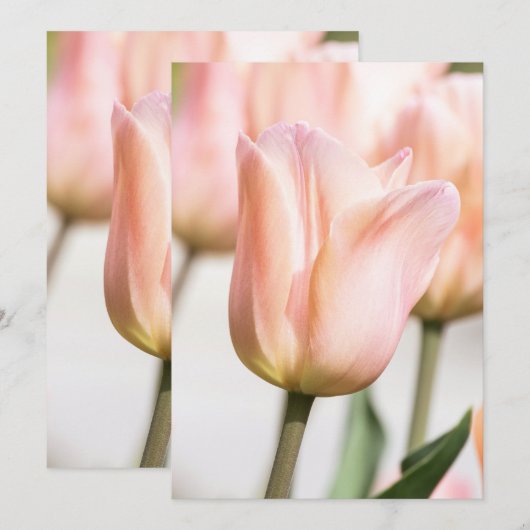 TULIP EINLADUNG (Vorne/Hinten)