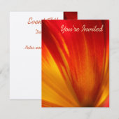 Tulip Einladung (Vorne/Hinten)