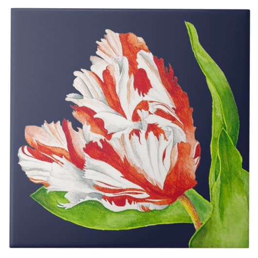 Tulip Estella Rijnveld auf der Keramik Tile Fliese (Vorderseite)
