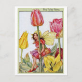 Tulip Fairy Postkarte (Vorderseite)