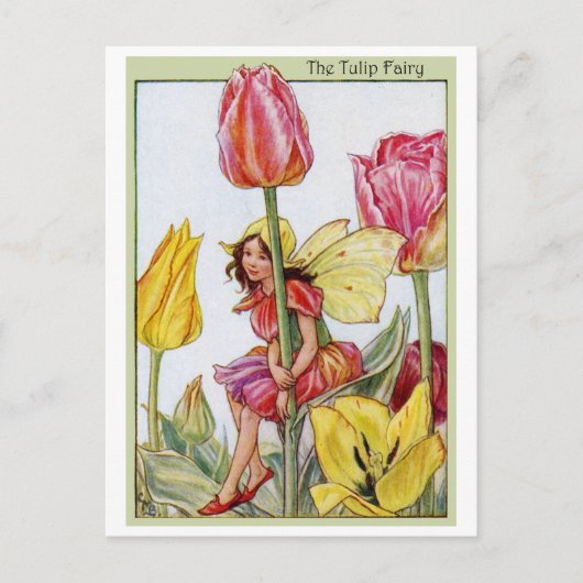 Tulip Fairy Postkarte (Vorderseite)