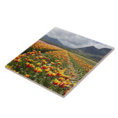 Tulip Farm in der Nähe von Agassiz, British Columb Fliese (Seite)