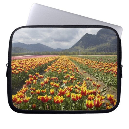 Tulip Farm in der Nähe von Agassiz, British Columb Laptopschutzhülle (Vorderseite)