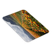 Tulip Farm in der Nähe von Agassiz, British Columb Magnet (Rechte Seite)