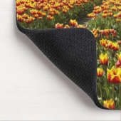 Tulip Farm in der Nähe von Agassiz, British Columb Mousepad (Ecke)