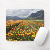Tulip Farm in der Nähe von Agassiz, British Columb Mousepad (Mit Mouse)