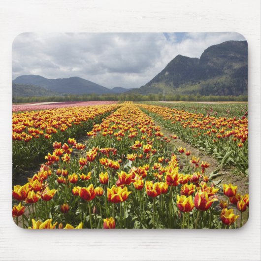 Tulip Farm in der Nähe von Agassiz, British Columb Mousepad (Vorne)
