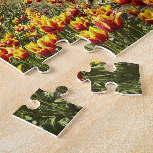 Tulip Farm in der Nähe von Agassiz, British Columb Puzzle (Seite)