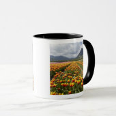 Tulip Farm in der Nähe von Agassiz, British Columb Tasse (VorderseiteRechts)