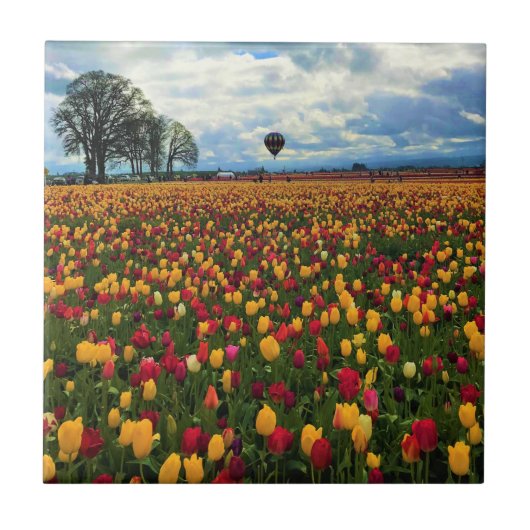Tulip Farm in Oregon Fliese (Vorderseite)