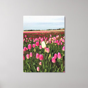 Tulip Farm in Oregon Leinwanddruck