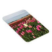 Tulip Farm in Oregon Magnet (Rechte Seite)