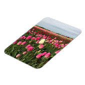 Tulip Farm in Oregon Magnet (Linke Seite)