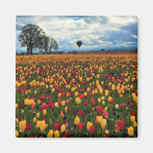Tulip Farm in Oregon Magnet (Vorne)