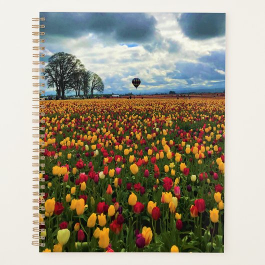 Tulip Farm in Oregon Planer (Vorderseite)