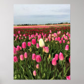 Tulip Farm in Oregon Poster (Vorne)