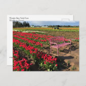 Tulip Farm in Oregon Postkarte (Vorne/Hinten)