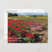 Tulip Farm von Oregon Postkarte (Vorne/Hinten)