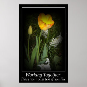 Tulip Federgarten zusammenarbeiten Motivation Poster