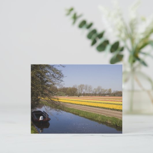 Tulip-Felder Postkarte (Stehend Vorderseite)