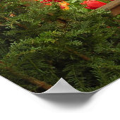 Tulip-Fenster Poster (Ecke)