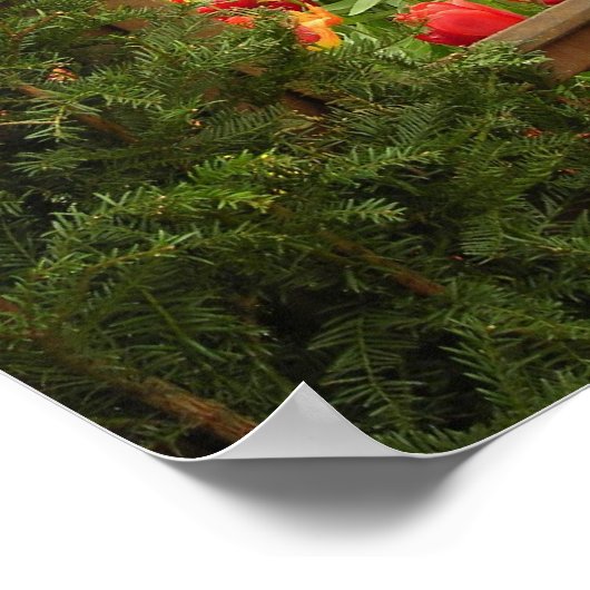 Tulip-Fenster Poster (Ecke)