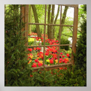 Tulip-Fenster Poster