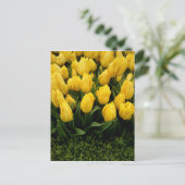 Tulip Festival - 27 individuell gestaltbare Postka Postkarte (Stehend Vorderseite)