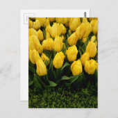 Tulip Festival - 27 individuell gestaltbare Postka Postkarte (Vorne/Hinten)
