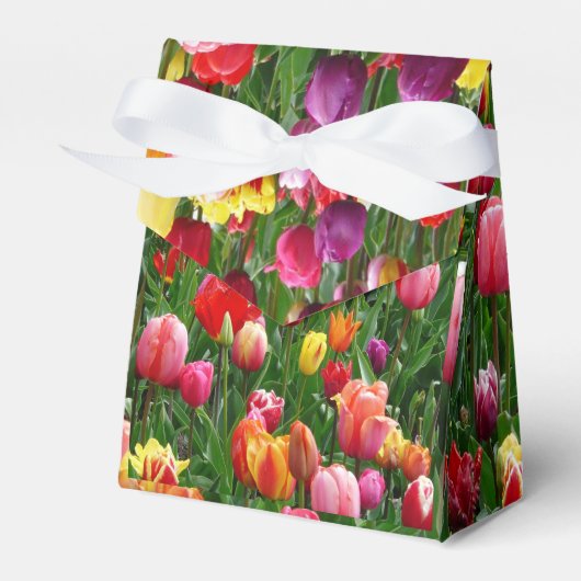 Tulip Festival Design Geschenkschachtel (Vorderseite)