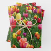 Tulip Festival Geschenkpapier Set (Beispiel)