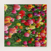 Tulip Festival Jigsaw Puzzle (Horizontal)