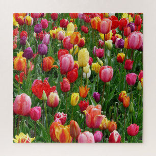 Tulip Festival Jigsaw Puzzle