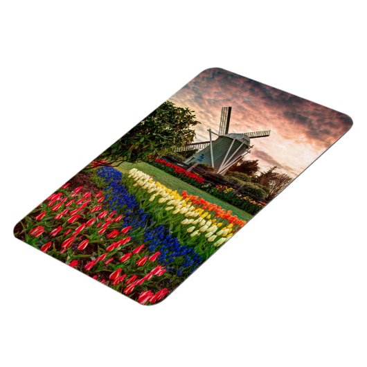 Tulip Festival Magnet (Linke Seite)