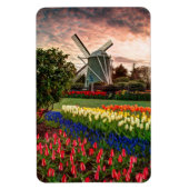 Tulip Festival Magnet (Vertikal)