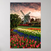 Tulip Festival Poster (Vorne)