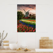 Tulip Festival Poster (Küche)