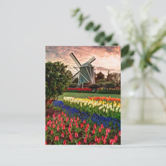 Tulip Festival Postkarte (Stehend Vorderseite)